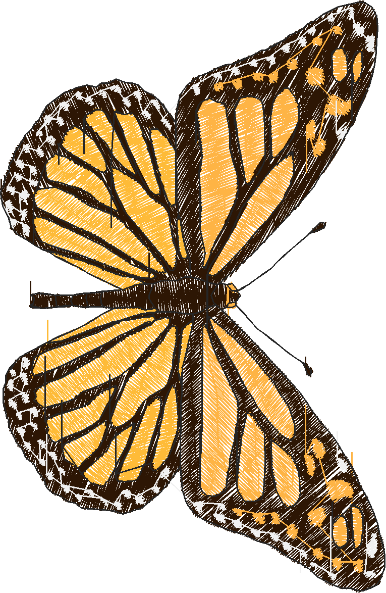 Butterflies 18 (180)