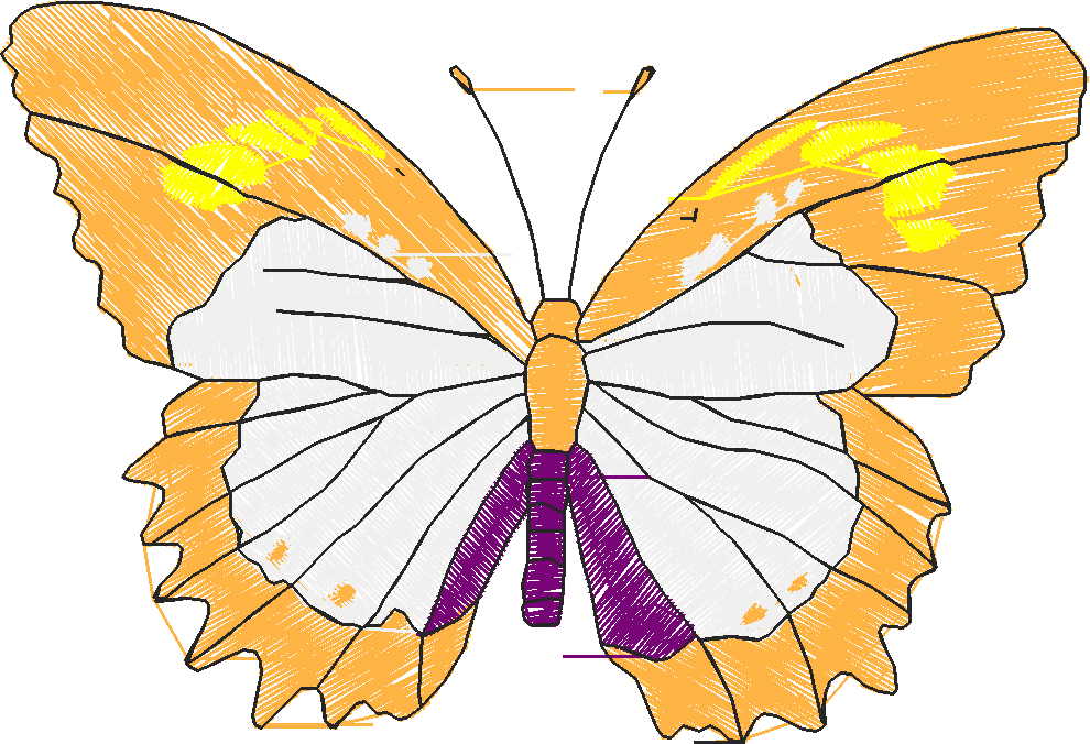 Butterflies 18 (186)