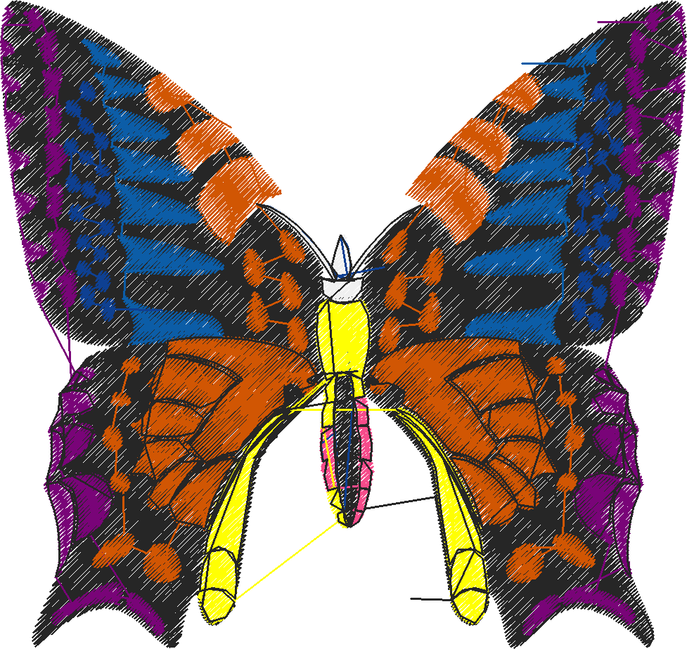 Butterflies 18 (189)