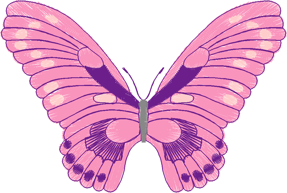 Butterflies 18 (190)