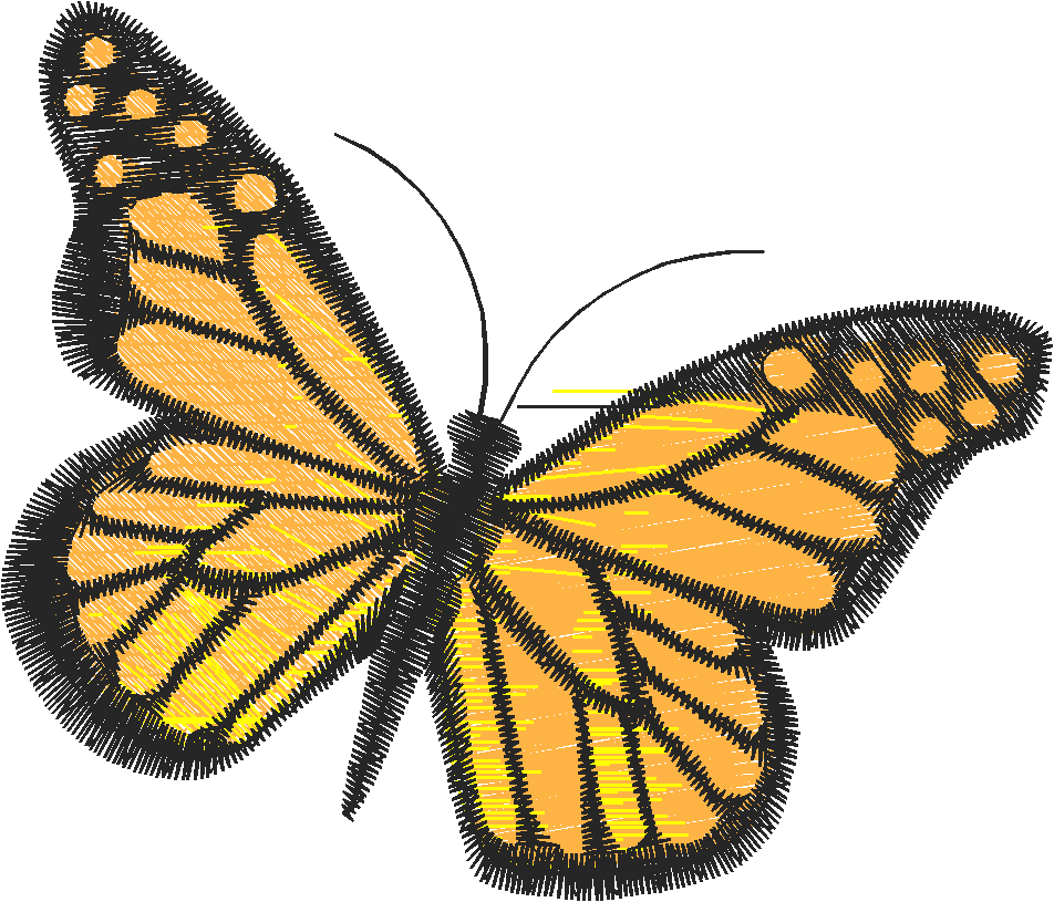 Butterflies 18 (191)