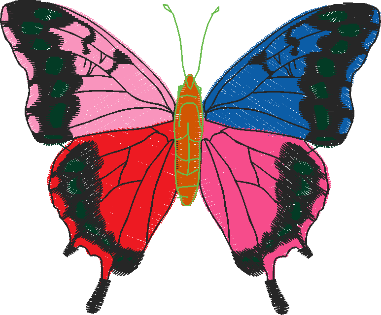 Butterflies 18 (195)