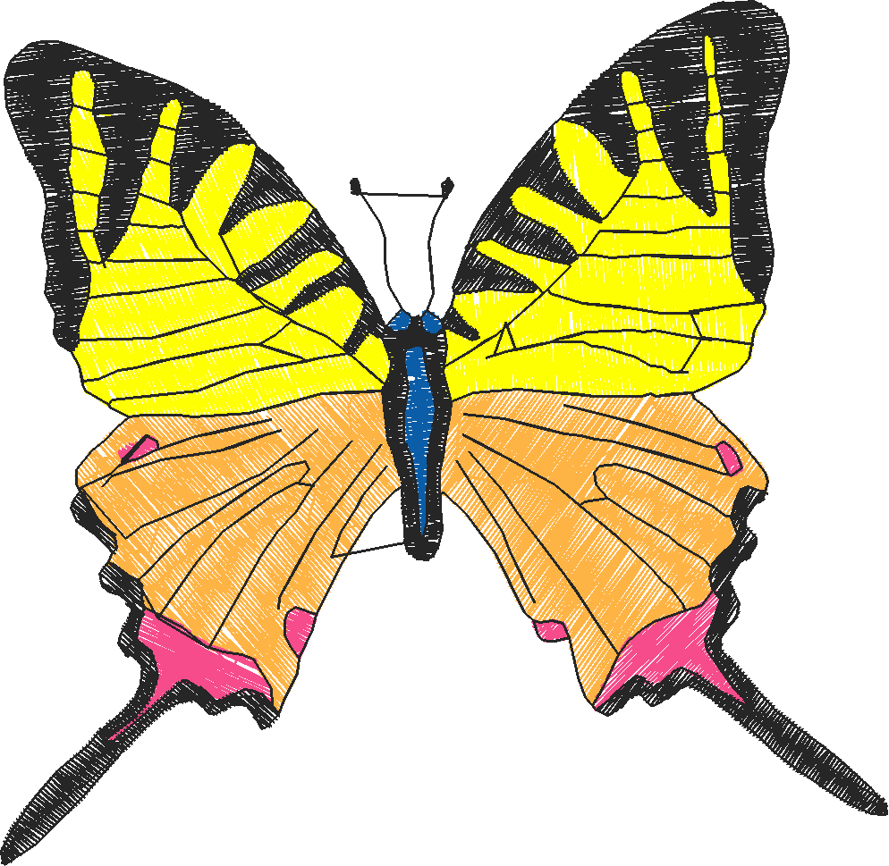 Butterflies 18 (201)