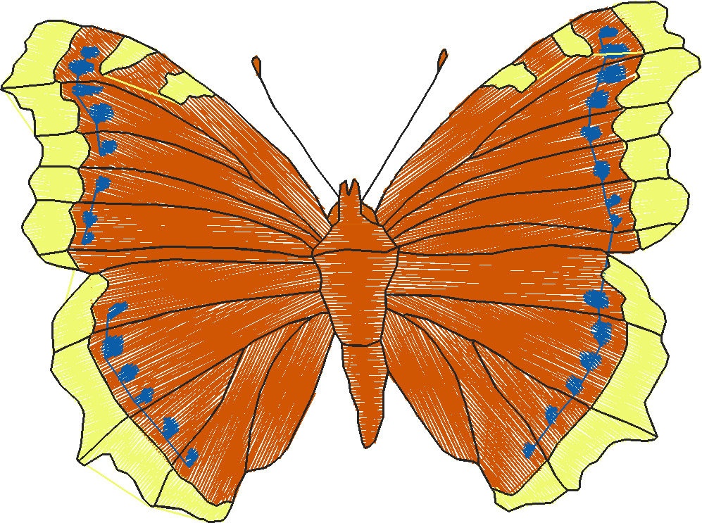 Butterflies 18 (207)