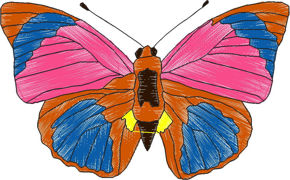 Butterflies 18 (209)