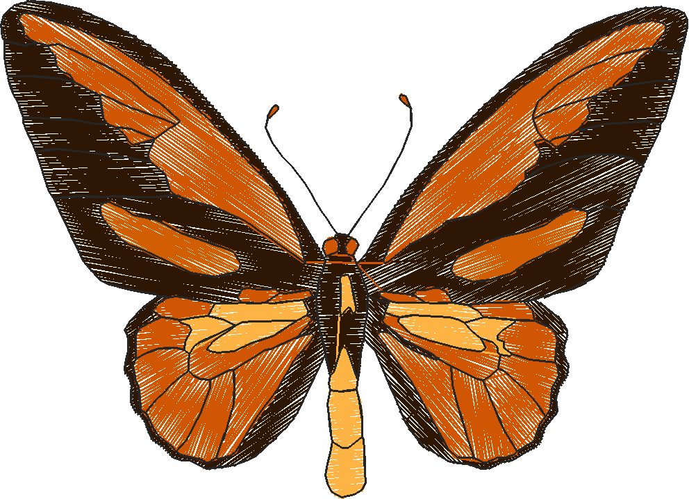 Butterflies 18 (211)