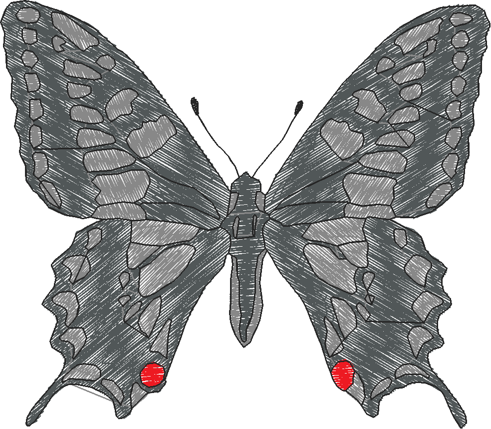 Butterflies 18 (212)