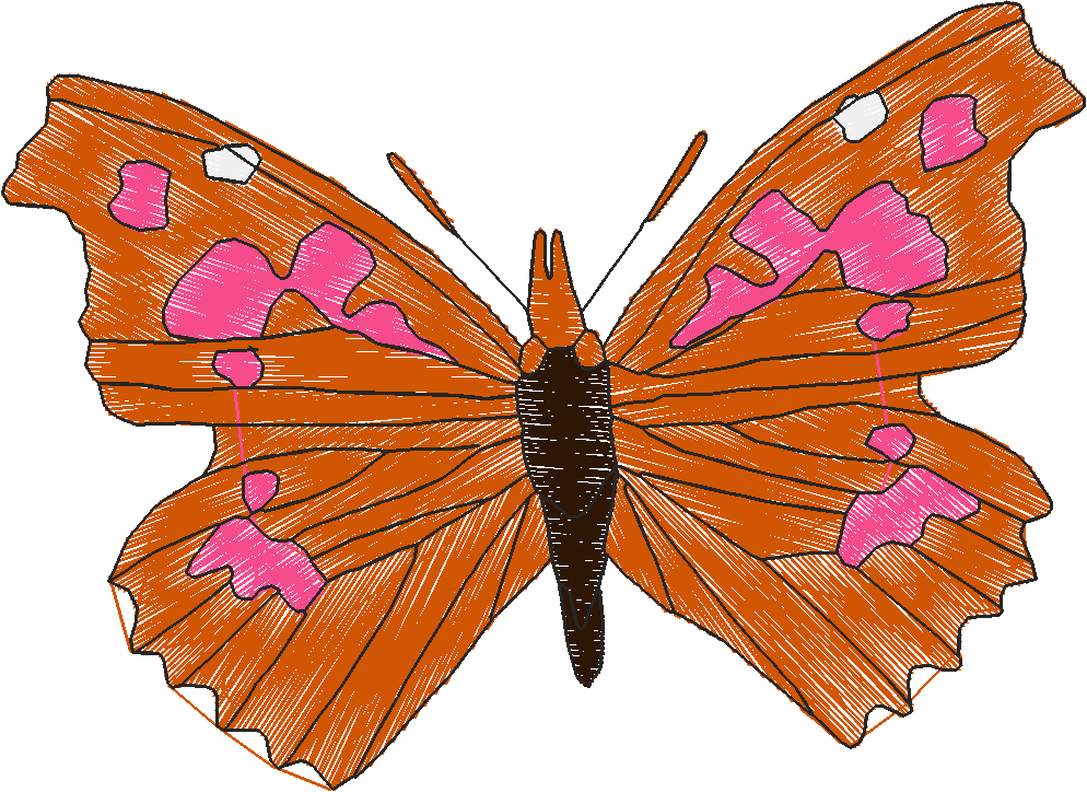 Butterflies 18 (214)