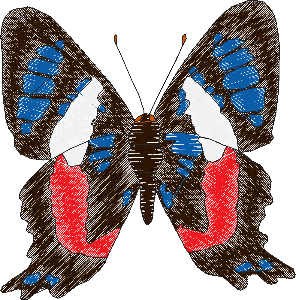 Butterflies 18 (217)