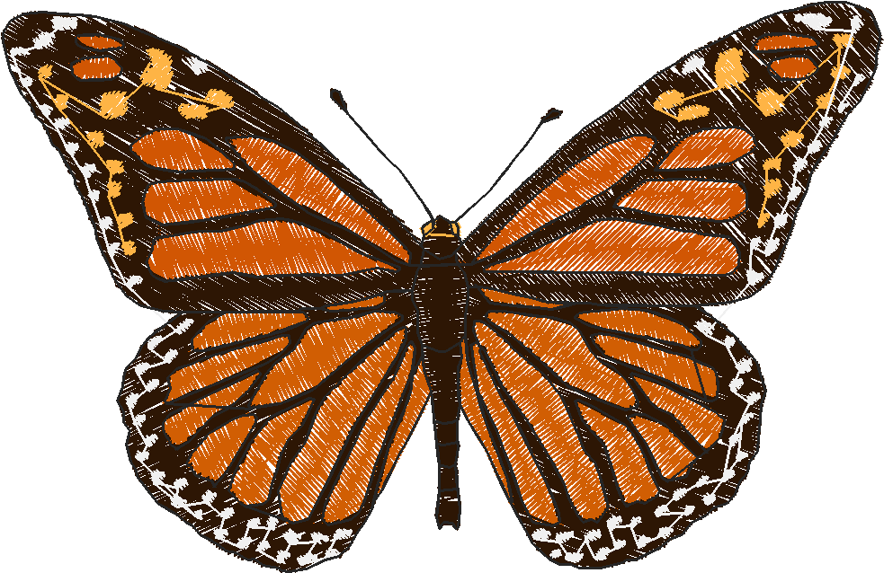 Butterflies 18 (220)