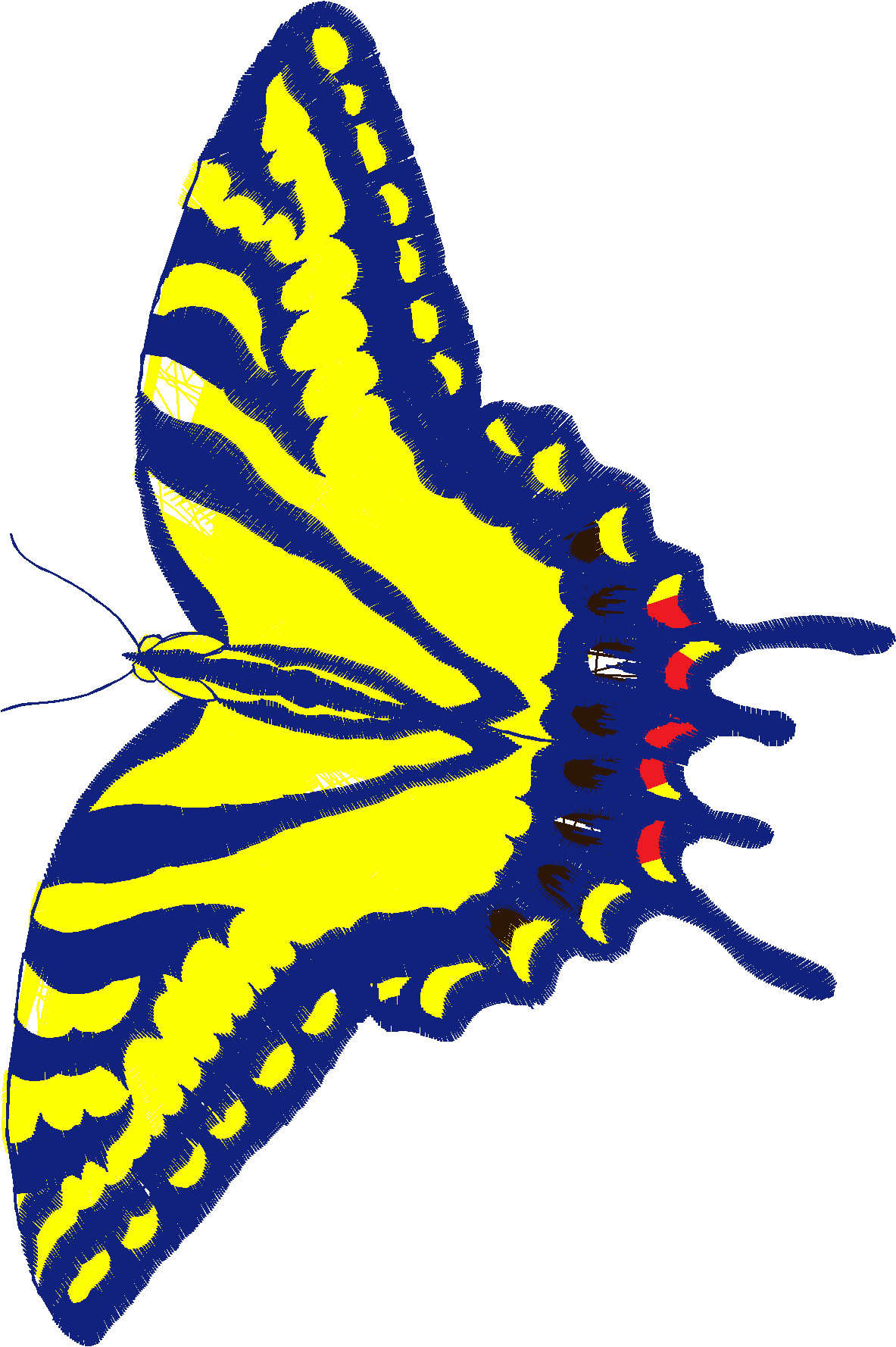 Butterflies 18 (223)