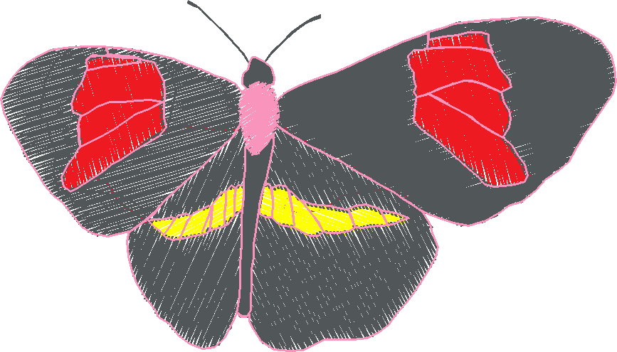 Butterflies 18 (224)