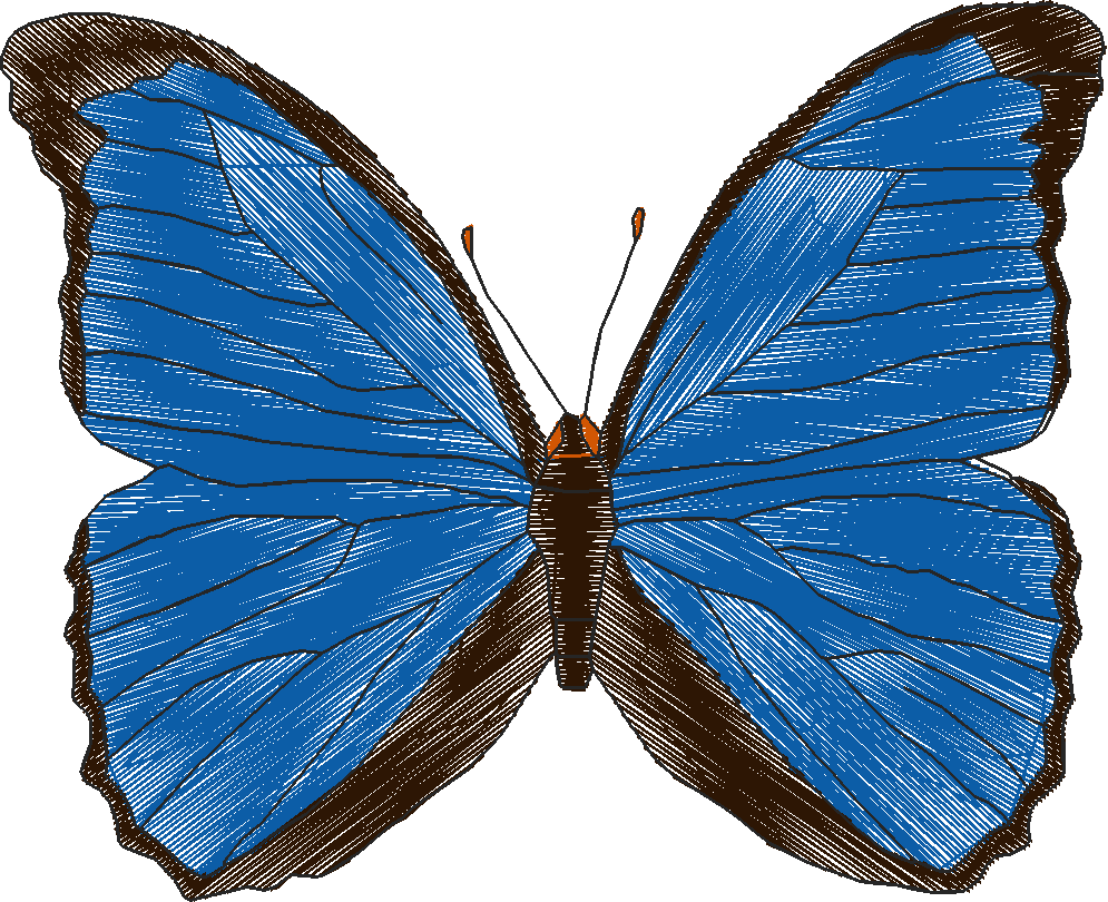 Butterflies 18 (226)