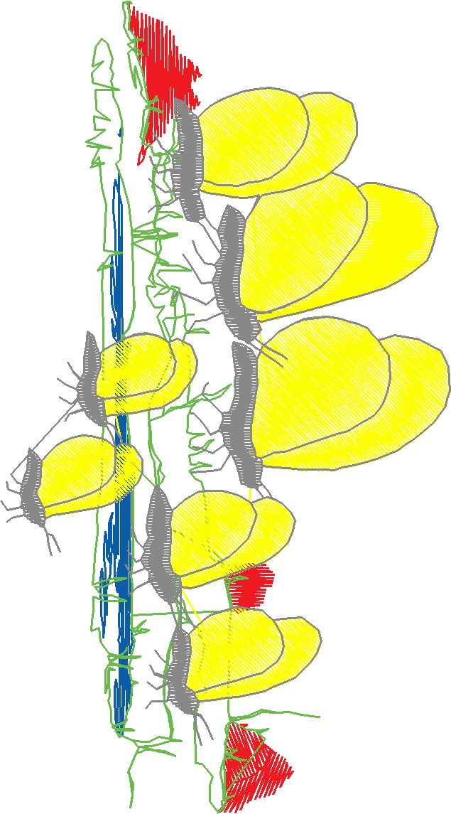 Butterflies 18 (231)