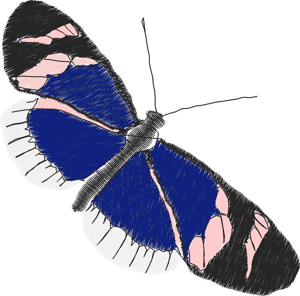 Butterflies 18 (233)