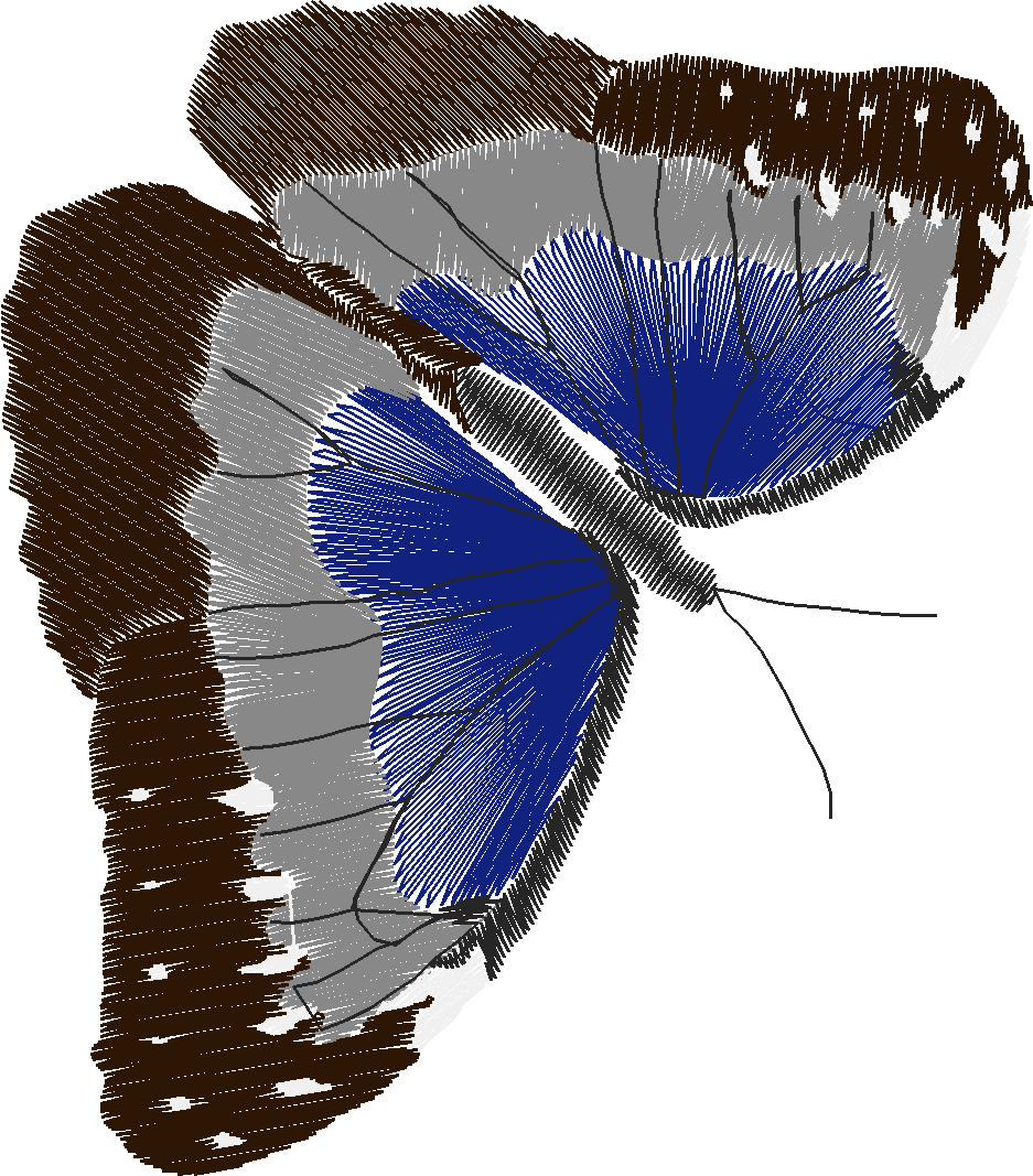 Butterflies 18 (234)