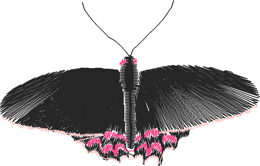 Butterflies 18 (235)