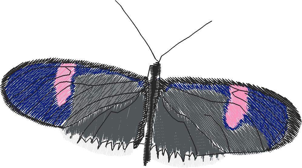 Butterflies 18 (237)