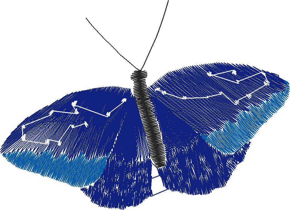 Butterflies 18 (239)