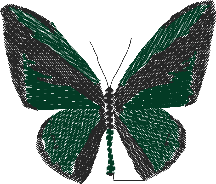 Butterflies 18 (241)