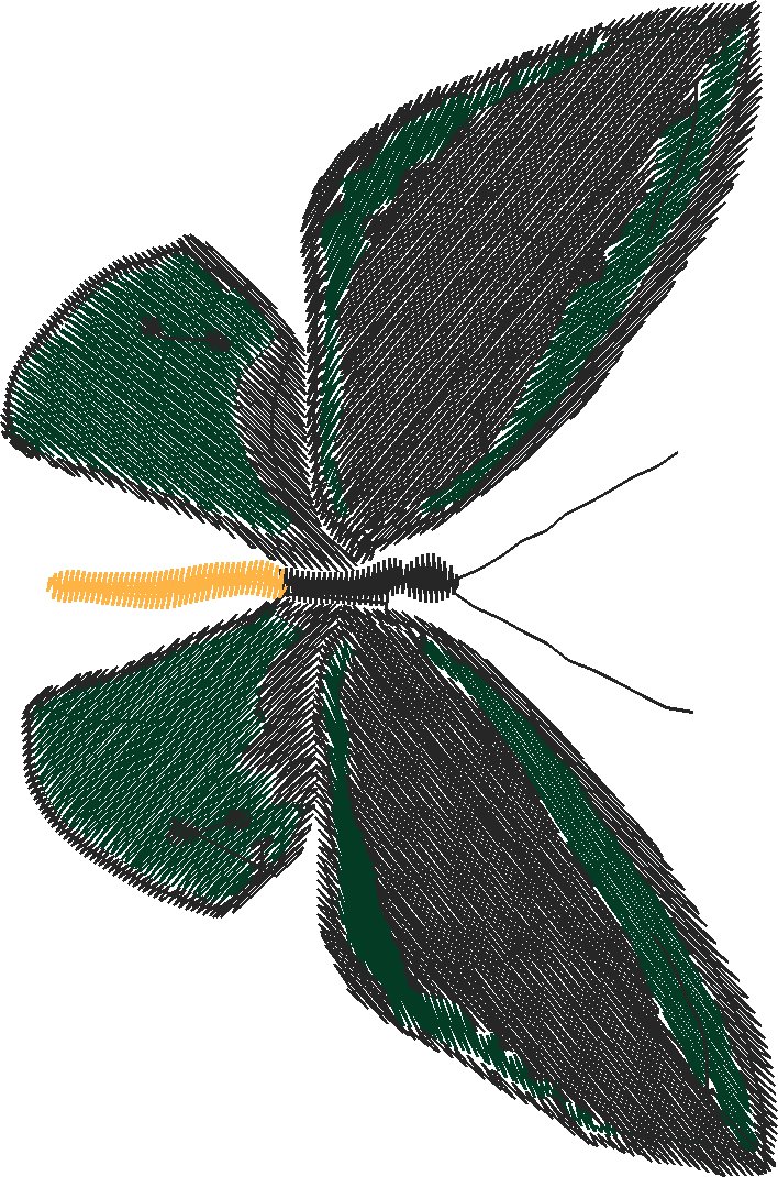 Butterflies 18 (242)