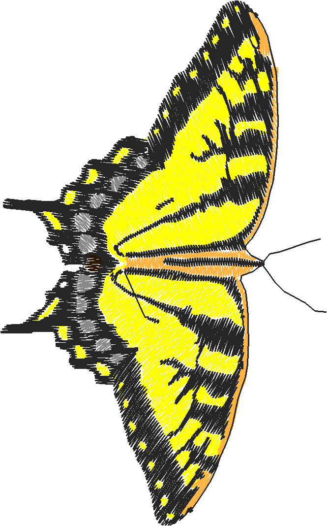 Butterflies 18 (244)