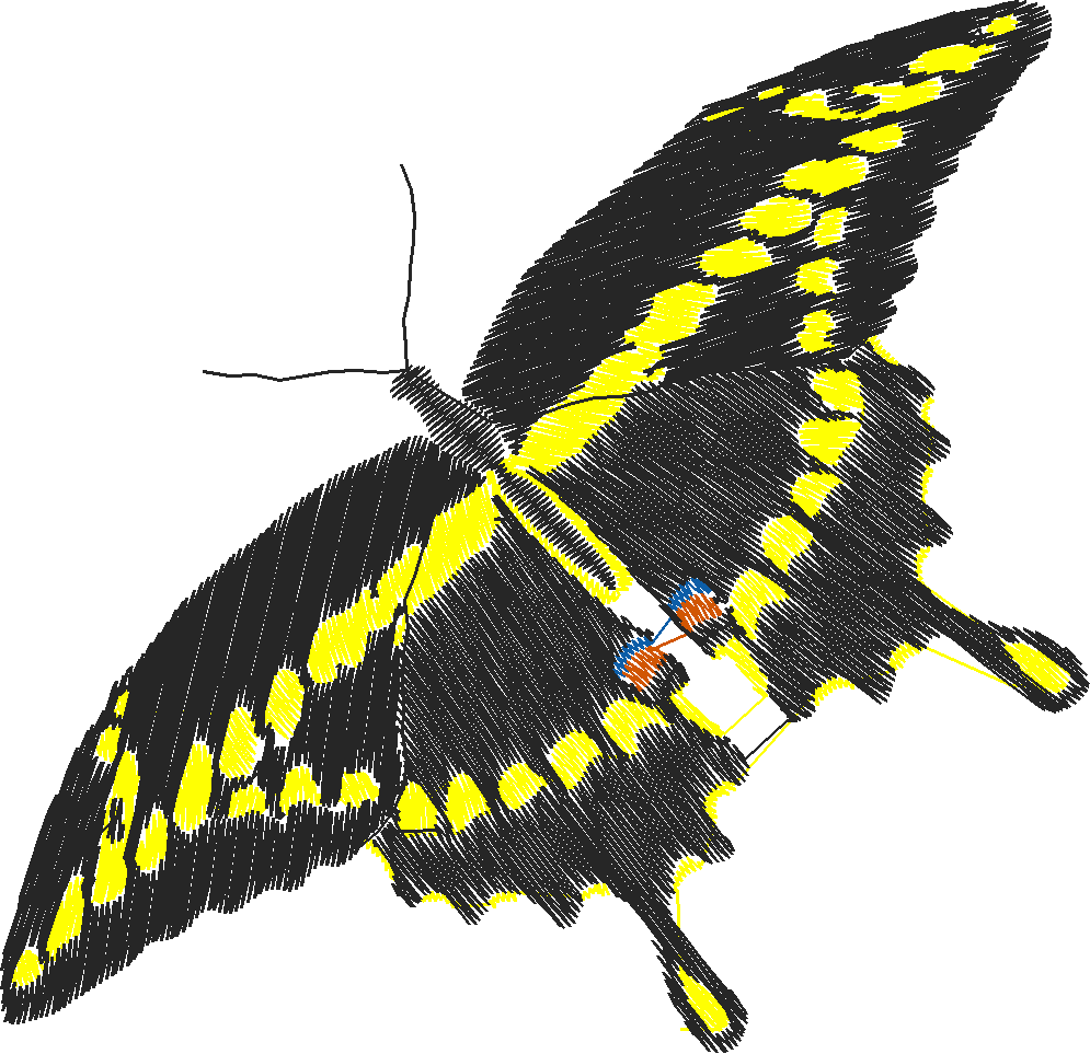 Butterflies 18 (245)