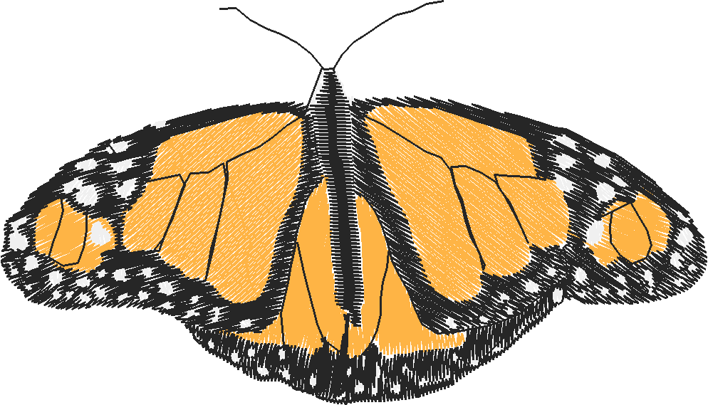 Butterflies 18 (247)