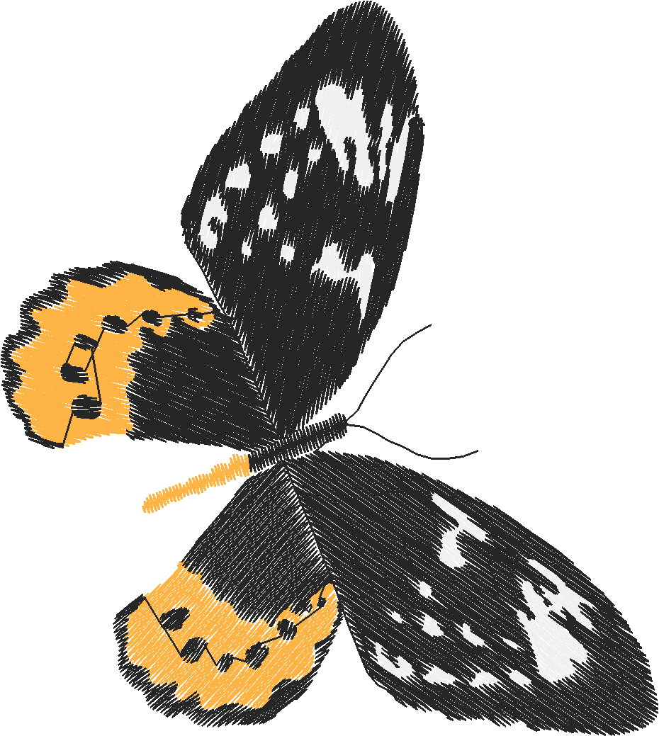 Butterflies 18 (248)