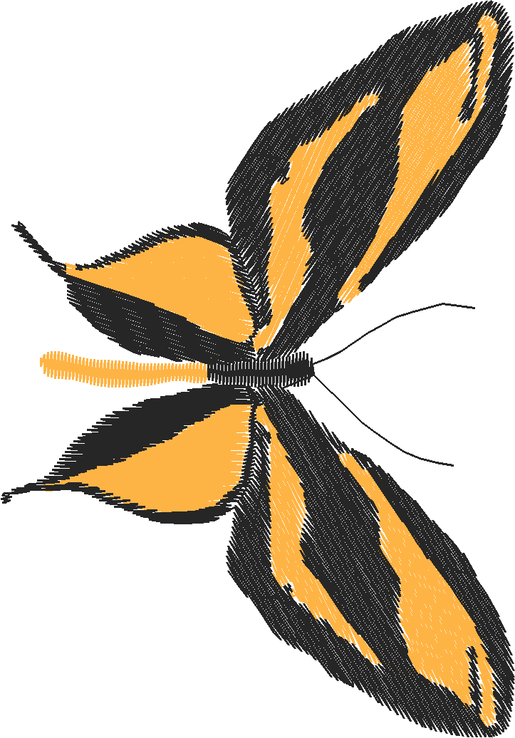 Butterflies 18 (249)