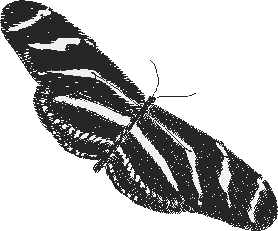 Butterflies 18 (250)