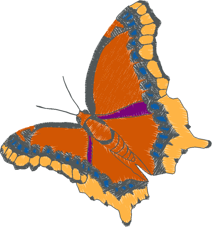 Butterflies 18 (254)