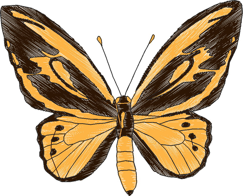 Butterflies 18 (259)