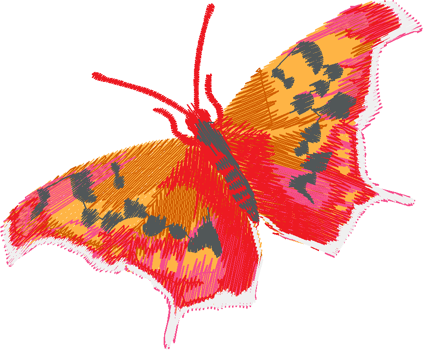 Butterflies 18 (260)