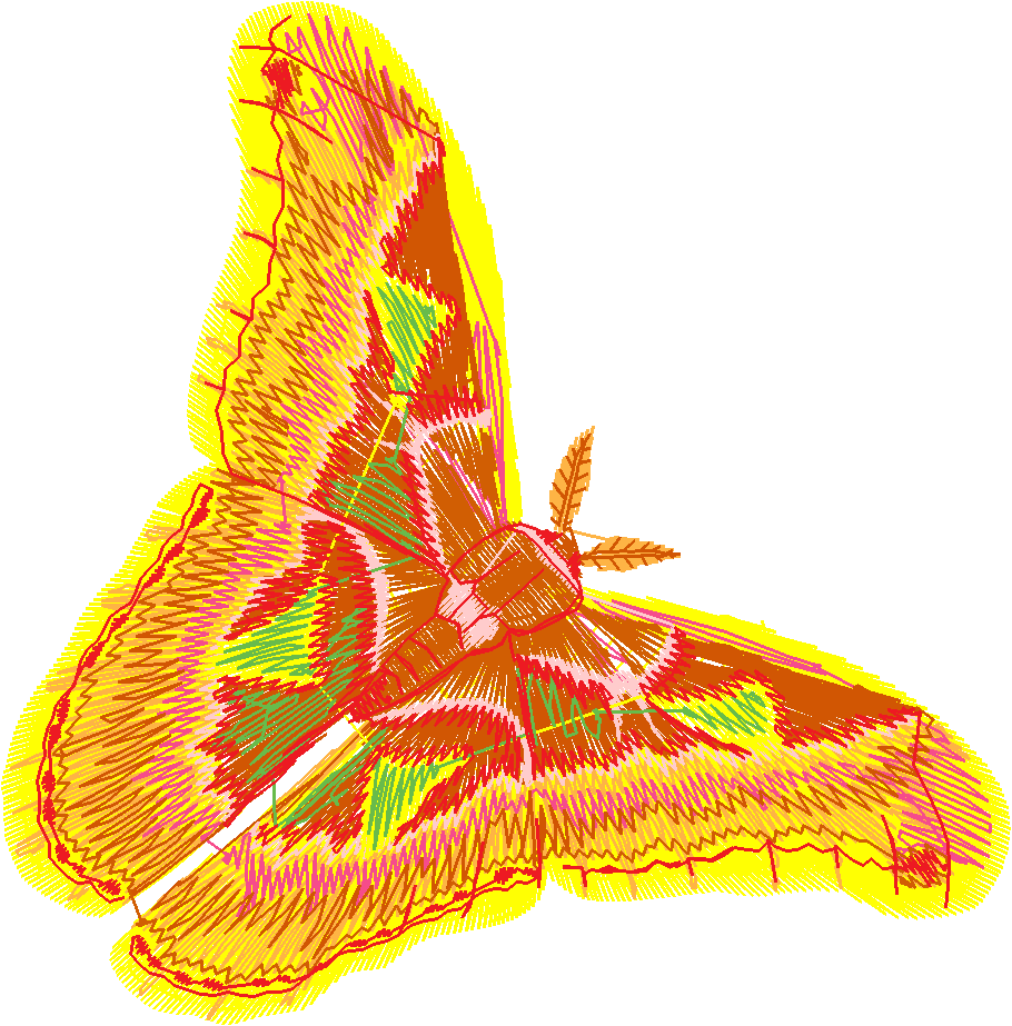 Butterflies 18 (261)