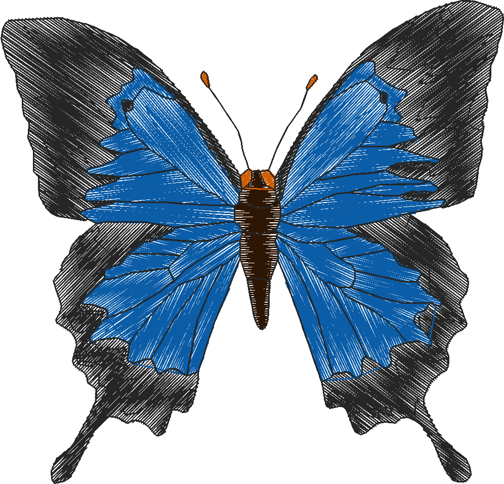 Butterflies 18 (268)