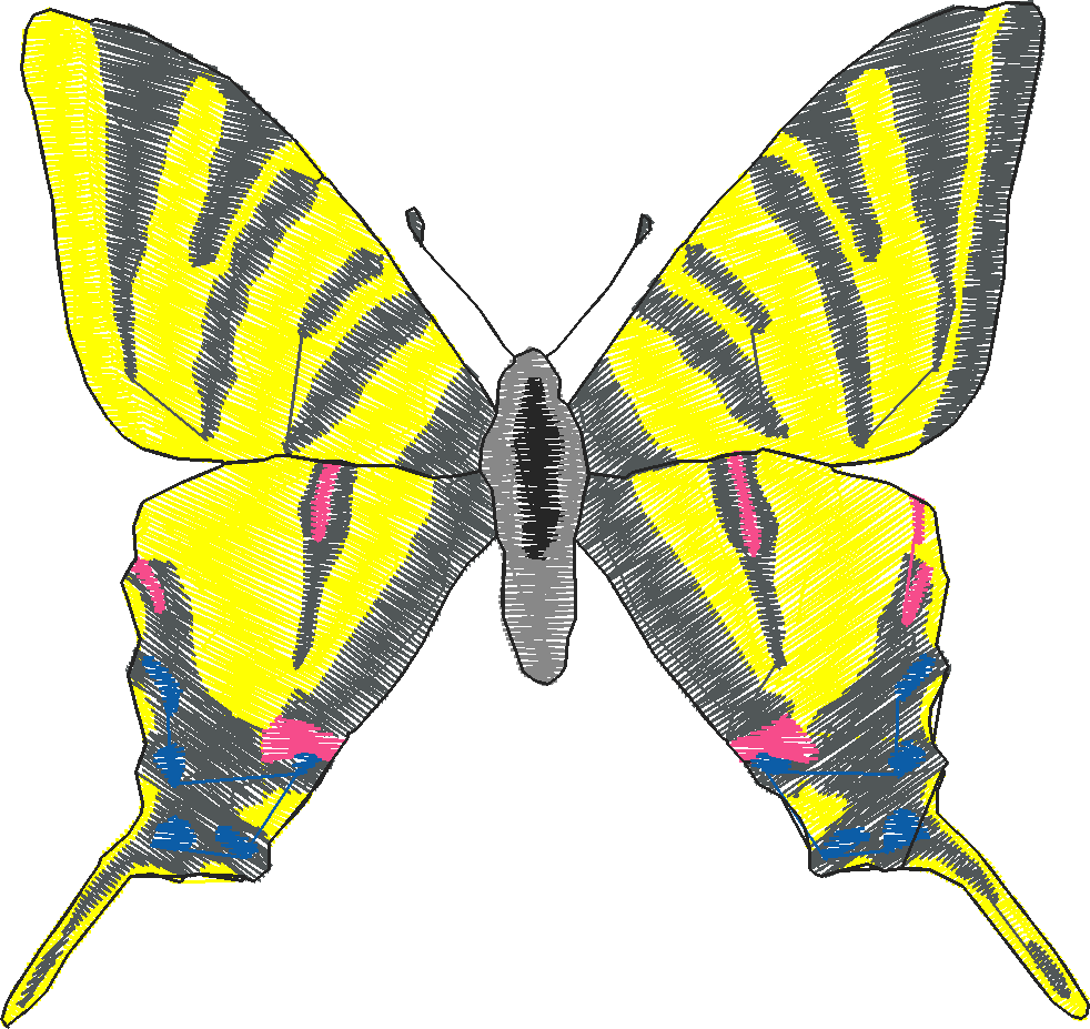 Butterflies 18 (275)