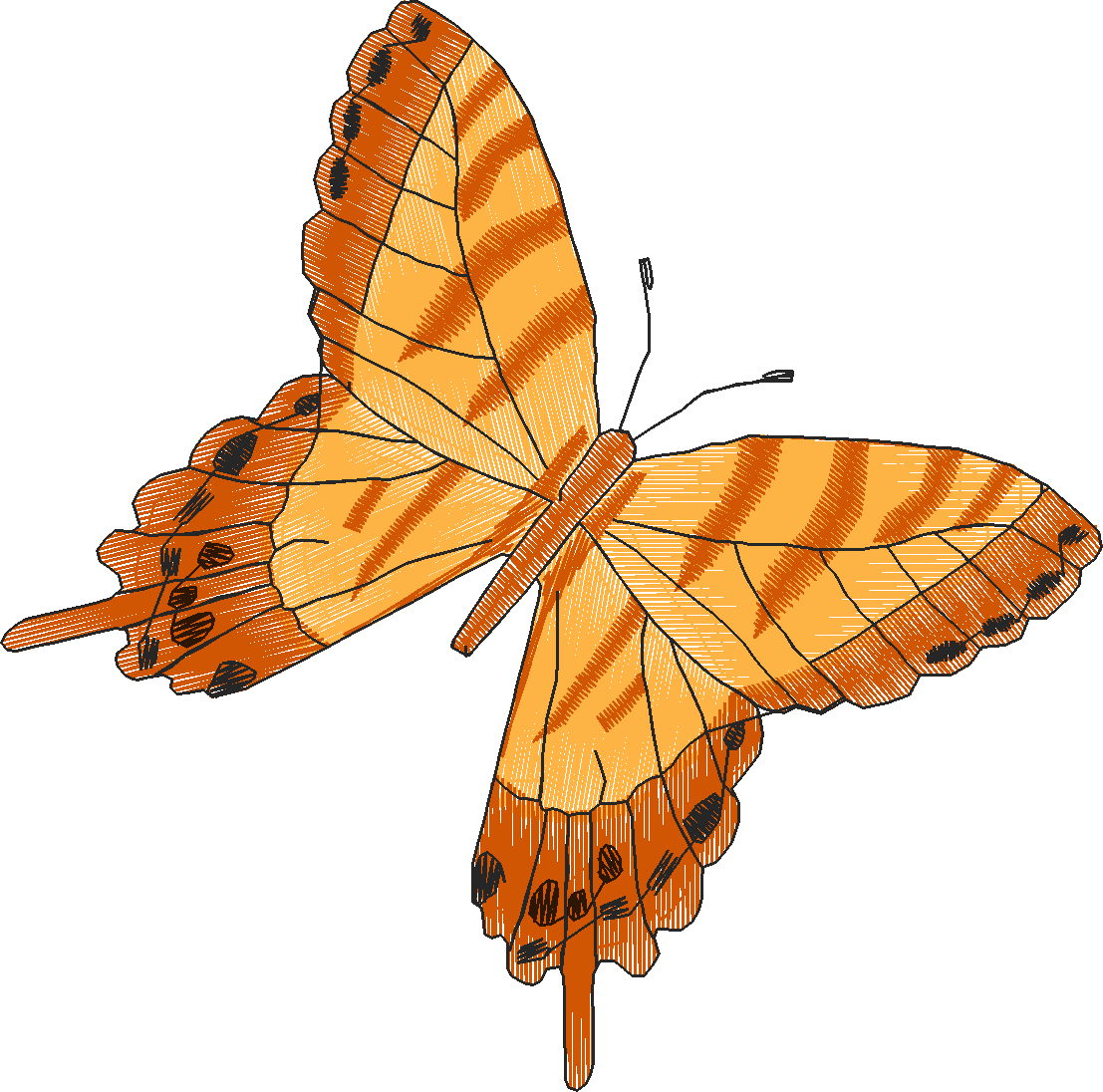 Butterflies 18 (276)