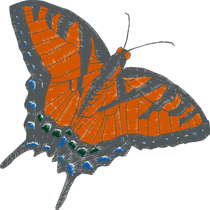 Butterflies 18 (277)