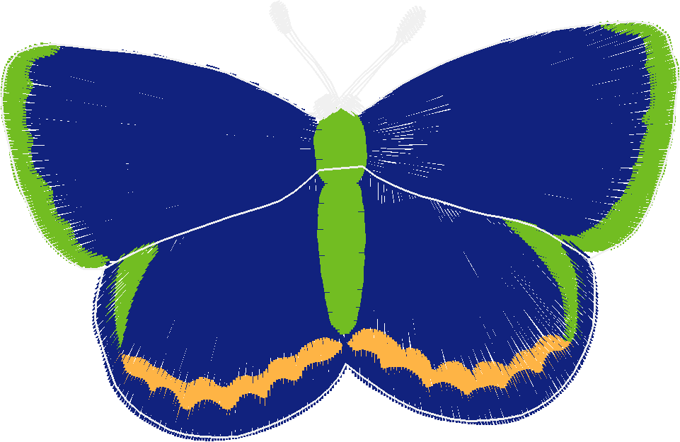 Butterflies 18 (278)