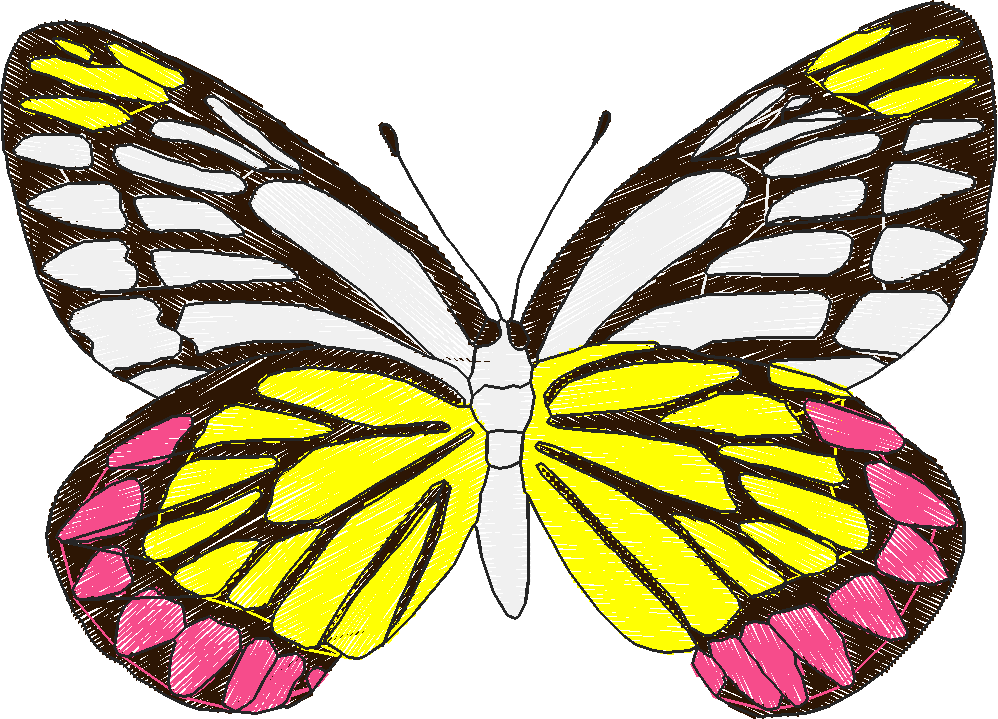 Butterflies 18 (280)