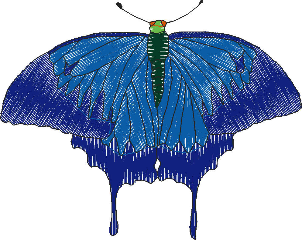 Butterflies 18 (282)