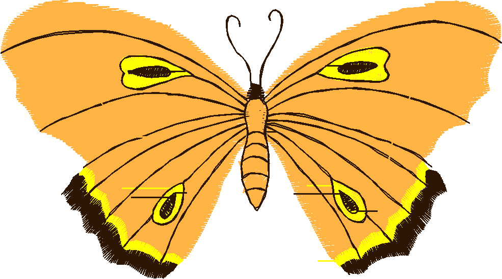 Butterflies 18 (45)