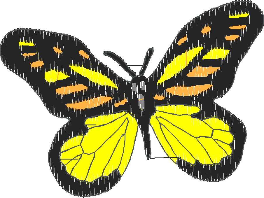 Butterflies 18 (6)