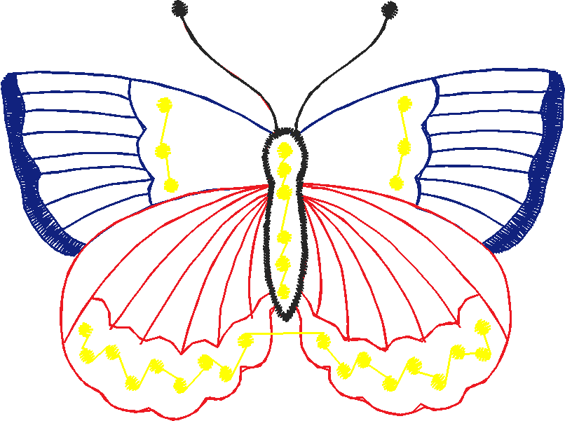 Butterflies 19  (16)