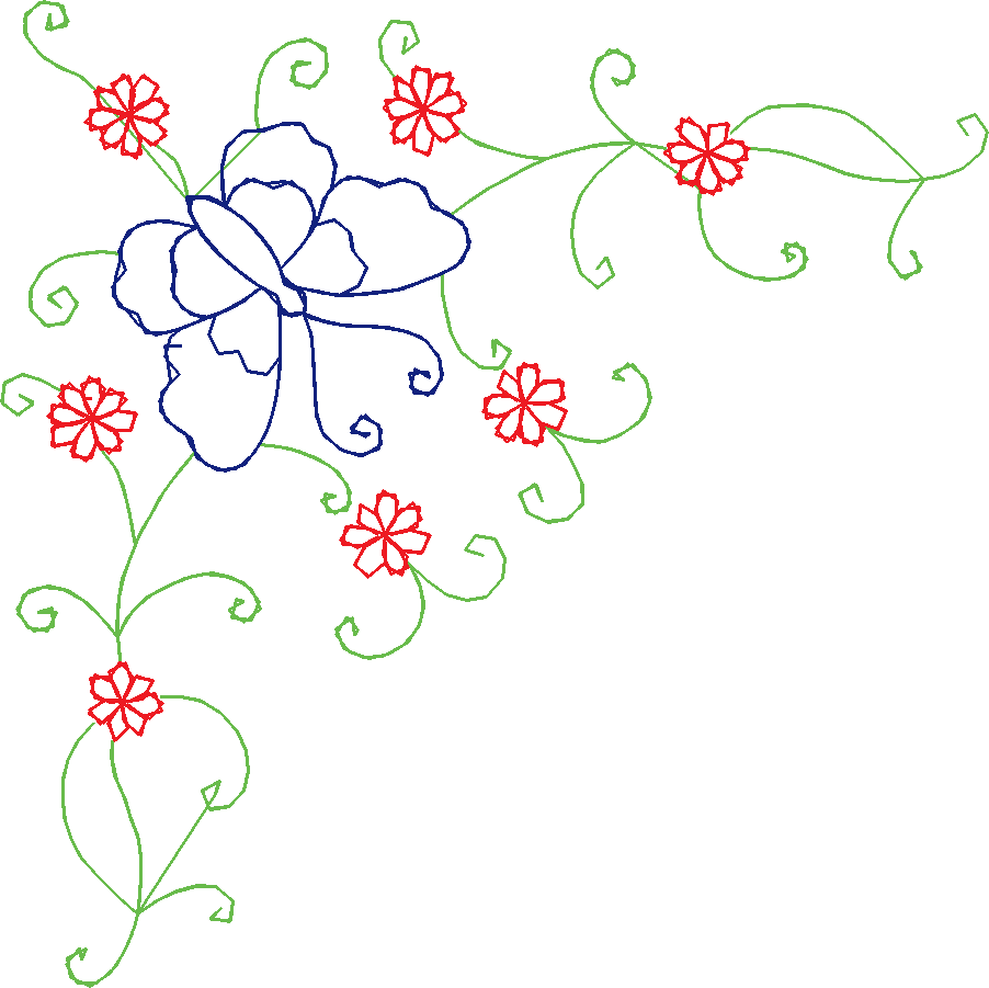 Butterflies 19  (17)