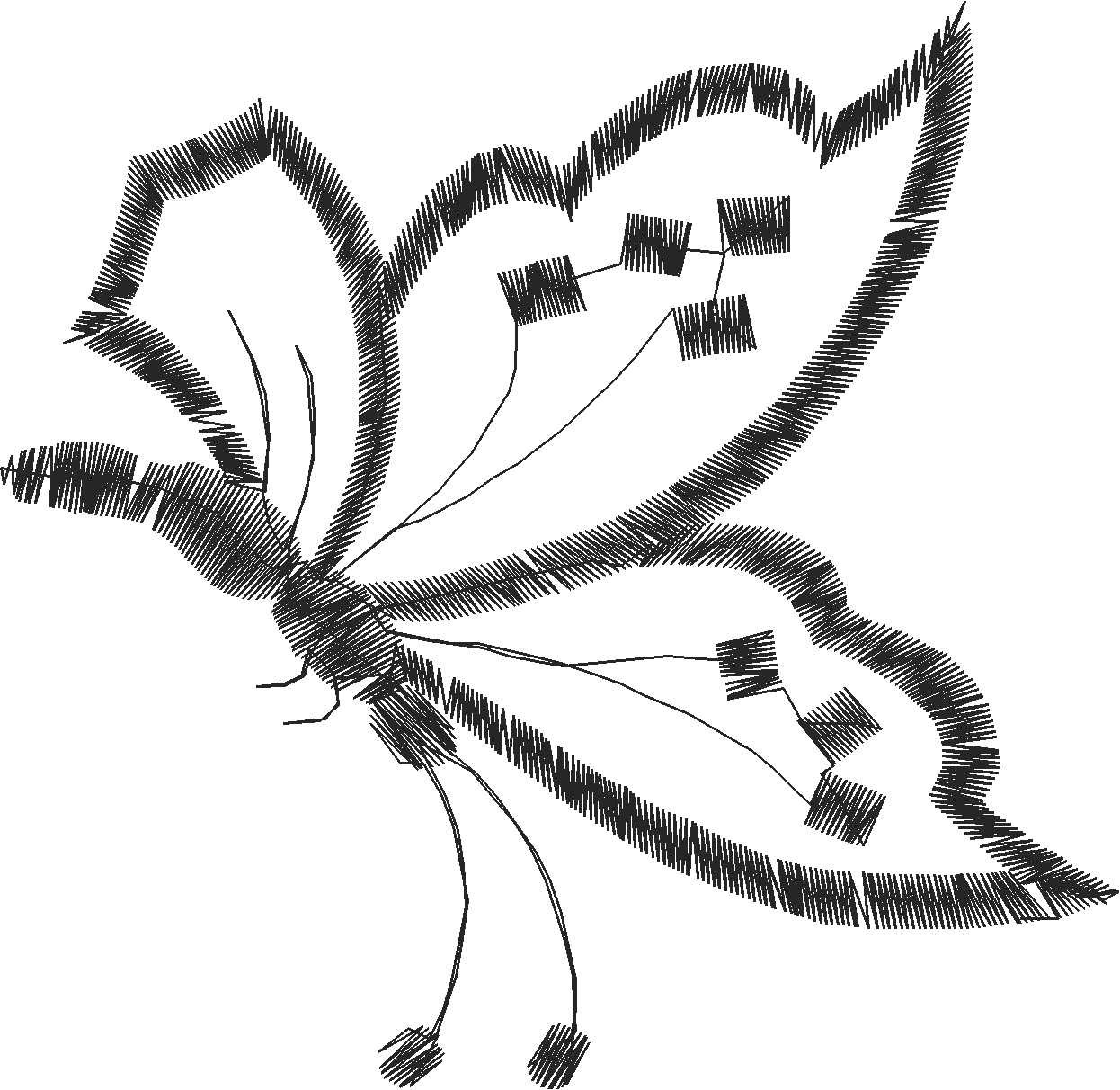 Butterflies 19  (18)