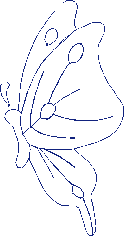 Butterflies 19  (20)