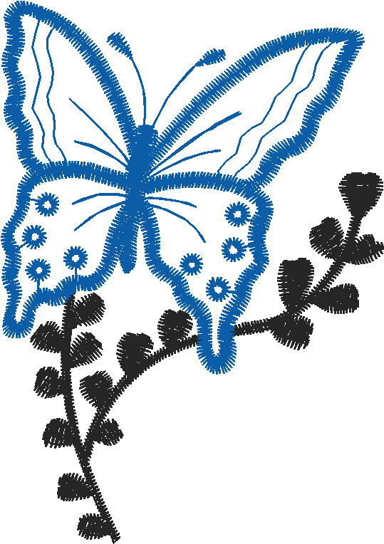 Butterflies 19  (31)