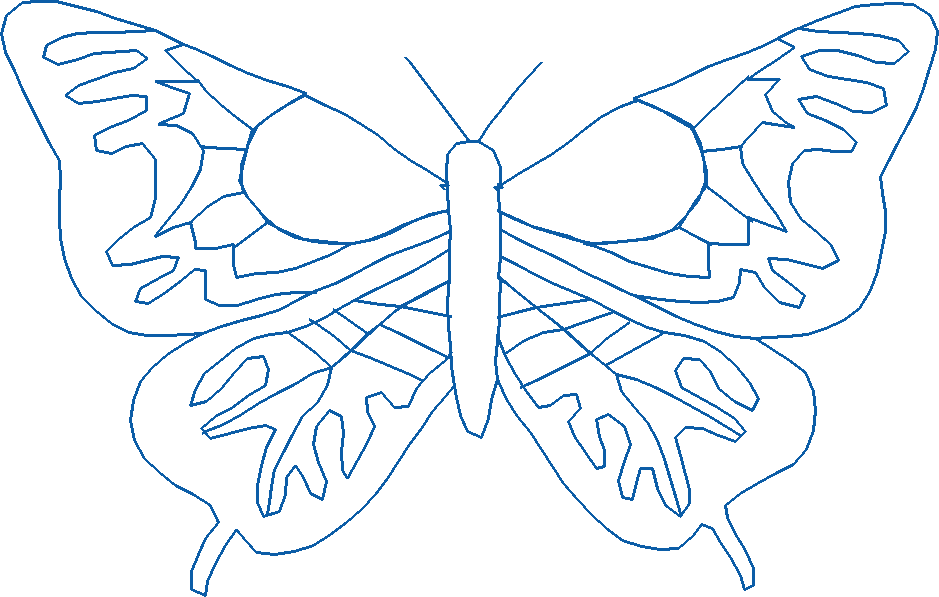 Butterflies 19  (37)